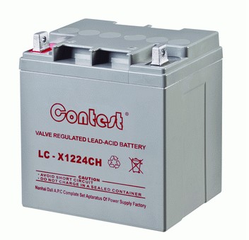 康迪斯蓄電池12v24AH